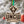 Load image into Gallery viewer, University of North Carolina Wilmington Seahawks Ornament – Crafted from Cherry and Maple Wood – UNCW Seahawks
