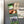 Load image into Gallery viewer, University of North Carolina at Charlotte All-In-C Magnet - Crafted from Cherry or Maple Wood - UNC Charlotte 49ers
