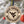 Load image into Gallery viewer, West Virginia University Mountaineers Circular Ornament – Crafted from Cherry and Maple Wood – West Virginia Mountaineers
