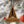 Load image into Gallery viewer, United States Space Force Emblem Ornament – Crafted from Cherry or Maple Wood
