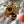 Load image into Gallery viewer, Georgia Tech Yellow Jacket Ornament - Crafted from Cherry or Maple Wood - Georgia Tech Yellow Jackets
