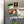 Load image into Gallery viewer, New York University NYU Magnet - Crafted from Cherry or Maple Wood - NYU Bobcats
