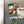 Load image into Gallery viewer, Fayetteville State University Broncos Magnet - Crafted from Cherry or Maple Wood - Fayetteville State Broncos

