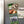 Load image into Gallery viewer, Gardner Webb University Bulldog Magnet - Crafted from Cherry or Maple Wood - Gardner Webb Bulldogs
