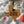 Load image into Gallery viewer, Texas State University Bobcats on State Ornament – Crafted from Cherry and Maple Wood – Texas State Bobcats
