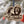 Load image into Gallery viewer, Old Dominion University Ornament Monarch Ornament – Crafted from Cherry and Maple Wood – Old Dominion Monarchs
