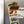 Load image into Gallery viewer, Winston Salem State University Rams Magnet - Crafted from Cherry or Maple Wood - Winston Salem State University Rams
