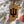 Load image into Gallery viewer, Indiana University IU on State Ornament – Crafted from Cherry and Maple Wood – Indiana Hoosiers
