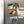Load image into Gallery viewer, High Point University Seal Magnet - Crafted from Cherry or Maple Wood - High Point Panthers
