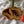 Load image into Gallery viewer, University of Missouri Tigers Ornament – Crafted from Cherry and Maple Wood – Mizzou Tigers
