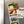 Load image into Gallery viewer, Michigan State University Spartan on State Magnet - Crafted from Cherry or Maple Wood - Michigan State Spartans
