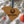 Load image into Gallery viewer, The Citadel Military College Bulldog on State Ornament – Crafted from Cherry and Maple Wood – The Citadel Bulldogs
