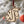 Load image into Gallery viewer, Washington State University Cougar Ornament – Crafted from Cherry and Maple Wood – Washington State Cougars
