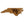 Load image into Gallery viewer, Wake Forest University WF Logo on State Wall Hanging - Crafted from Cherry and Maple Wood - Wake Forest Demon Deacons
