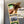 Load image into Gallery viewer, Elizabeth City State University Vikings Magnet - Crafted from Cherry or Maple Wood - ESCU Vikings
