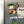 Load image into Gallery viewer, Furman University Paladins Magnet - Crafted from Cherry or Maple Wood - Furman Paladins
