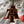 Load image into Gallery viewer, North Carolina A&amp;T University AT Ornament – Crafted from Cherry and Maple Wood – NCAT Aggies
