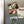 Load image into Gallery viewer, University of North Carolina Pembroke Braves Magnet - Crafted from Cherry or Maple Wood - UNC Pembroke Braves
