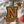Load image into Gallery viewer, United States Naval Academy Navy Star Ornament – Crafted from Cherry and Maple Wood – Navy Midshipmen
