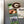 Load image into Gallery viewer, University of Georgia Athletic G Magnet - Crafted from Cherry or Maple Wood - Georgia Bulldogs
