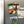 Load image into Gallery viewer, Tarleton State University Institutional Mark Magnet - Crafted from Cherry or Maple Wood - Tarleton State Texans

