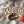 Load image into Gallery viewer, Western Carolina University Catamounts Ornament – Crafted from Cherry and Maple Wood - WCU Catamounts
