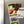 Load image into Gallery viewer, Georgia State Panthers Magnet - Crafted from Cherry or Maple Wood
