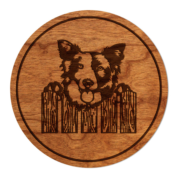 Dog Coaster Border Collie