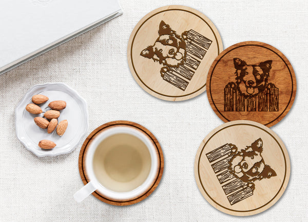 Dog Coaster Border Collie