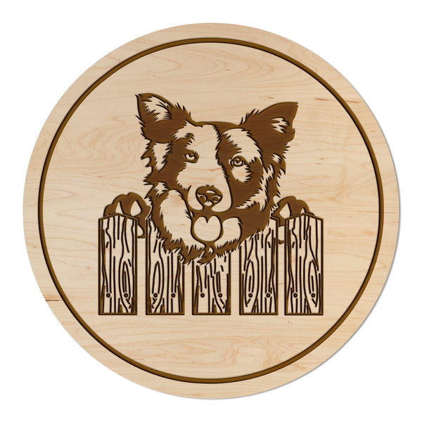Dog Coaster Border Collie