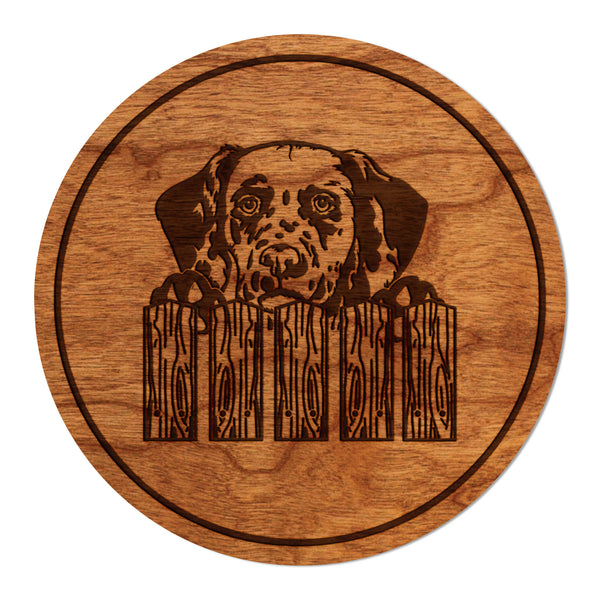 Dog Coaster Dalmation