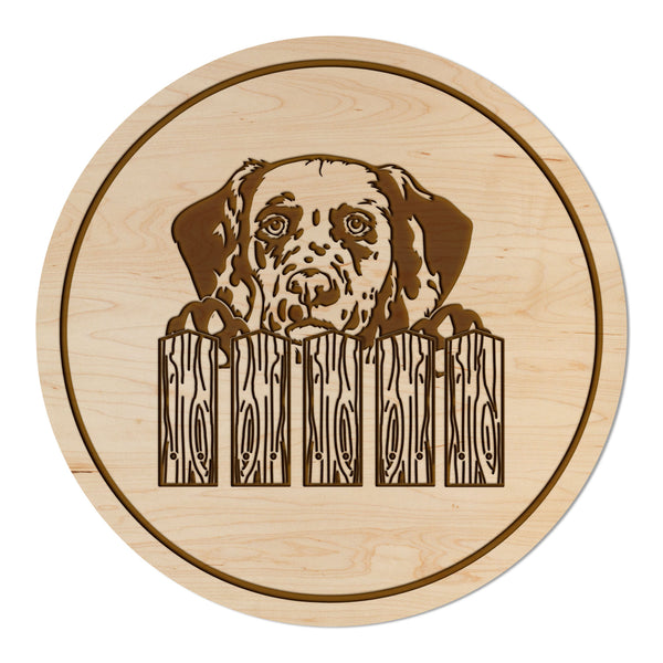 Dog Coaster Dalmation