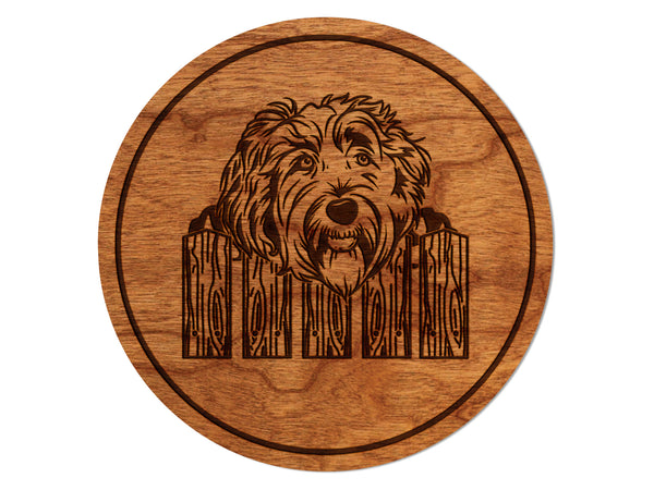 Dog Coaster Labradoddle