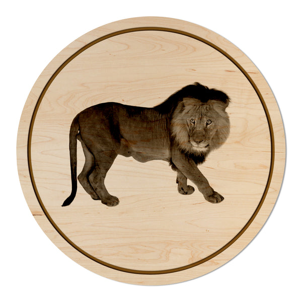 African Animals Coaster Lion