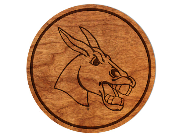 Central Missouri, University of Coaster Mule Head