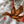 Load image into Gallery viewer, Duck Hunting Ornament Duck
