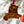 Load image into Gallery viewer, Lenoir Rhyne Ornament Bear and Name
