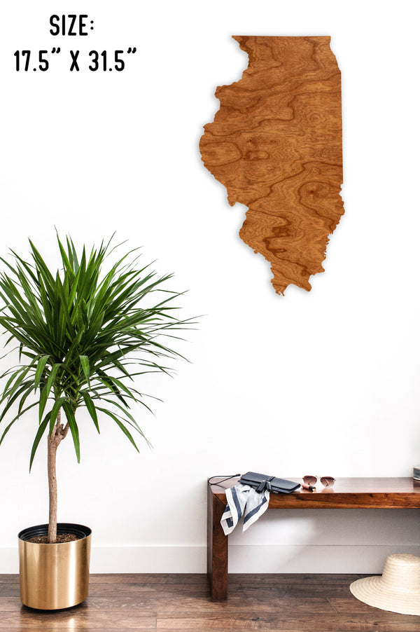 State Map Wall Hanging Illinois