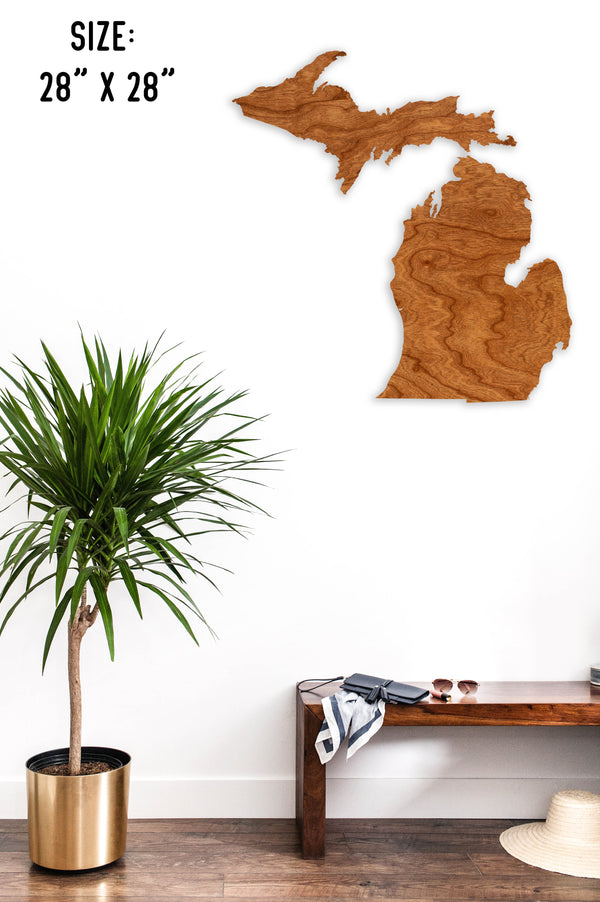 State Map Wall Hanging Michigan