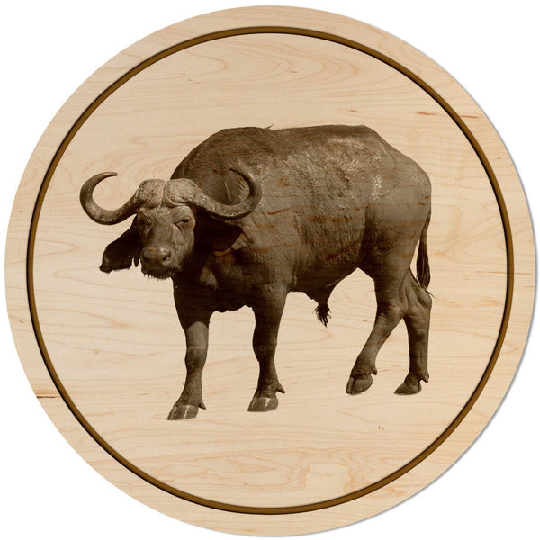 African Animals Coaster (Multiple Designs Available) Coaster Shop LazerEdge Cape Buffalo Maple 
