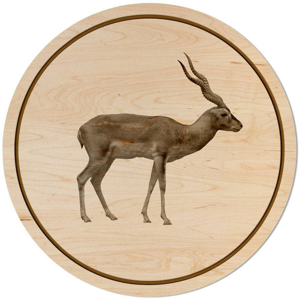 African Animals Coaster (Multiple Designs Available) Coaster Shop LazerEdge Gazelle Maple 