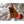 Load image into Gallery viewer, American Flag State Outline Ornament ( Available In All 50 States) Ornament Shop LazerEdge GA - Georgia Cherry 
