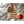 Load image into Gallery viewer, American Flag State Outline Ornament ( Available In All 50 States) Ornament Shop LazerEdge WI - Wisconsin Maple 
