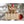 Load image into Gallery viewer, Dog Ornament (Multiple Dog Breeds Available) Ornament Shop LazerEdge Maple French Bulldog 
