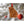 Load image into Gallery viewer, &quot;Georgia On My Mind&quot; Georgia Ornament Ornament LazerEdge 

