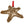 Load image into Gallery viewer, Sea-Life Animals Ornament - Crafted from Cherry or Maple Wood - Various Animals Available Ornament LazerEdge Maple Starfish 
