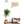 Load image into Gallery viewer, State Outline Wall Hanging (Available In All 50 States) Large Size Wall Hanging Shop LazerEdge CT - Connecticut Maple 
