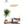 Load image into Gallery viewer, State Outline Wall Hanging (Available In All 50 States) Large Size Wall Hanging Shop LazerEdge TN - Tennessee Maple 
