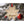 Load image into Gallery viewer, Zodiac Ornament - Aquarius Ornament LazerEdge 
