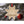 Load image into Gallery viewer, Zodiac Ornament - Capricorn Ornament LazerEdge 
